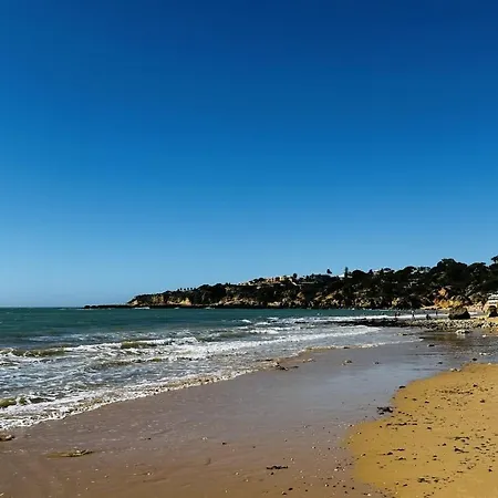 Bicos 7 By Check-in Portugal アパート